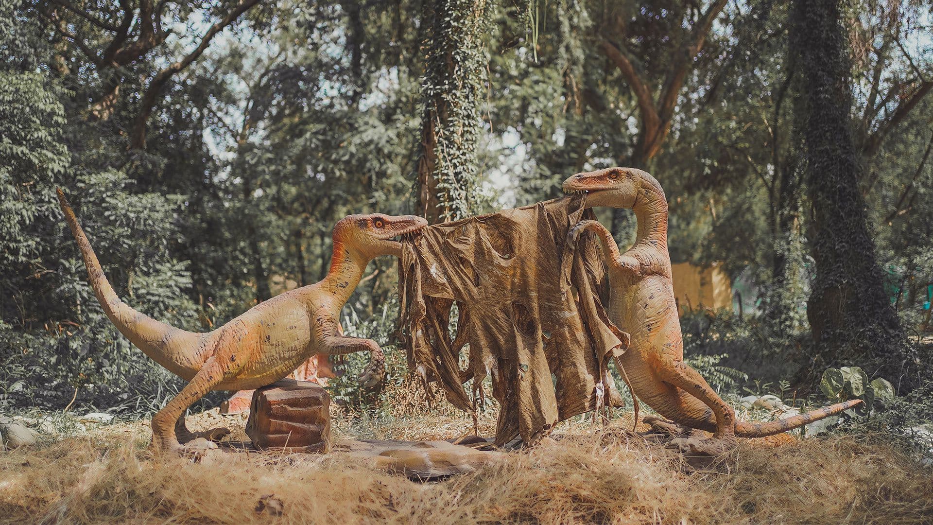 Chhatbir Dinosaur Park