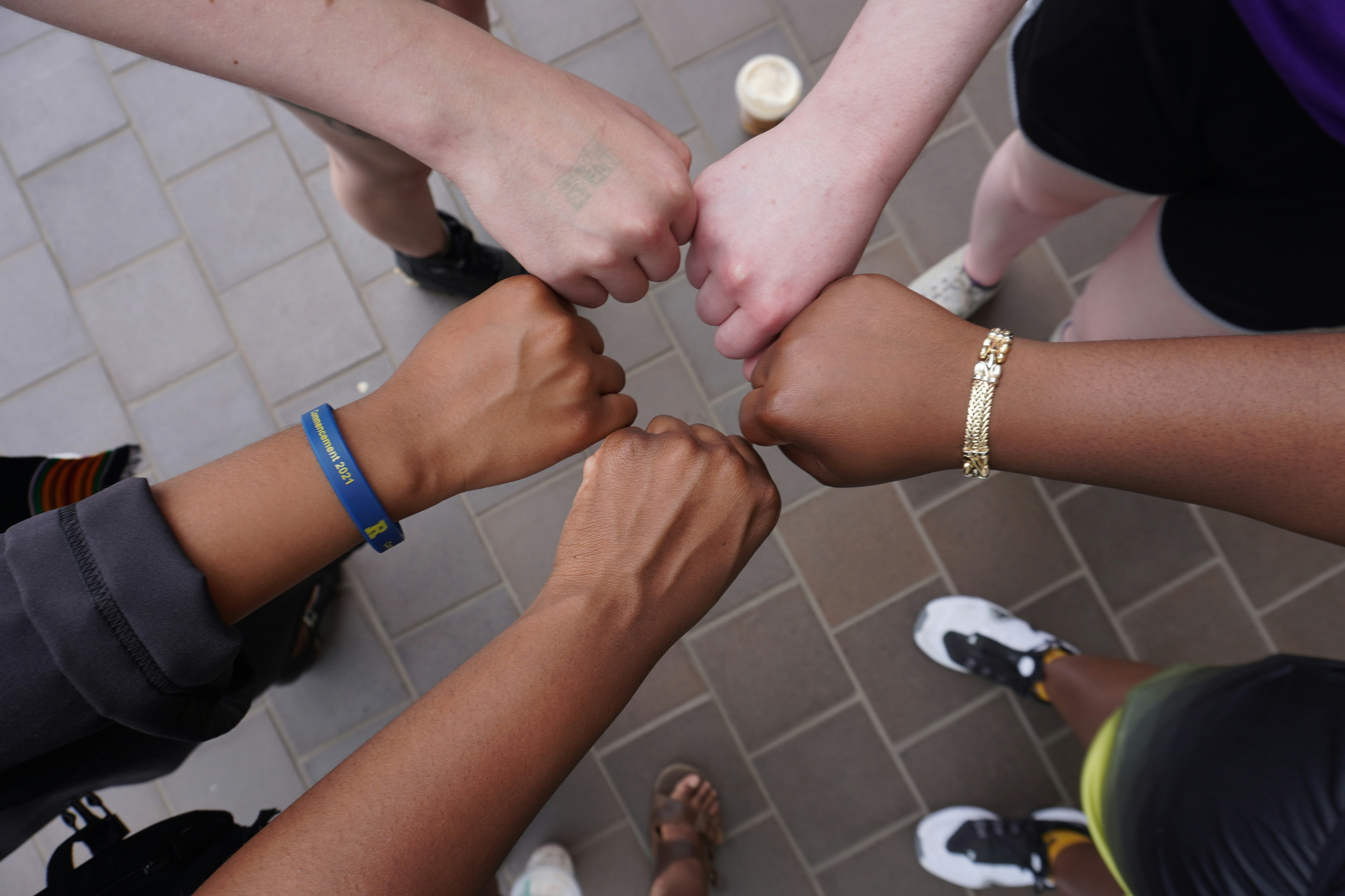 Diversity