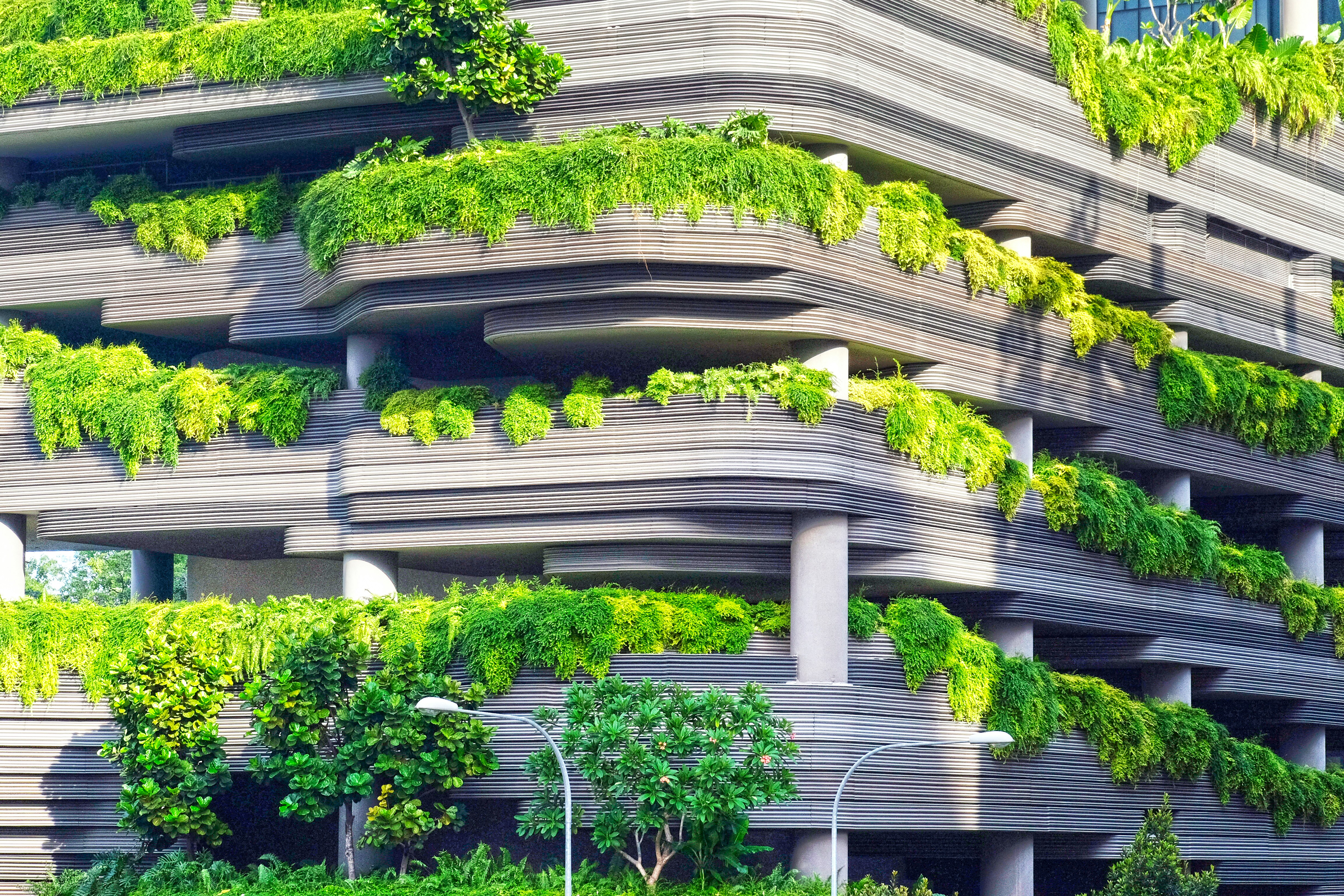 Sustainability